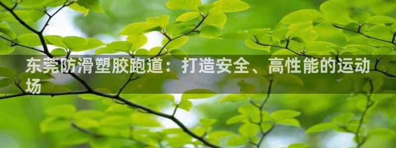 红足网足球直播：东莞防滑塑胶跑道：打造安全、高性能的运动
场