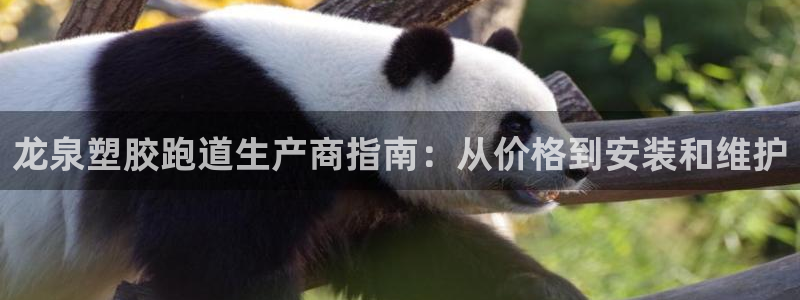 红足体育网：龙泉塑胶跑道生产商指南：从价格到安装和维护