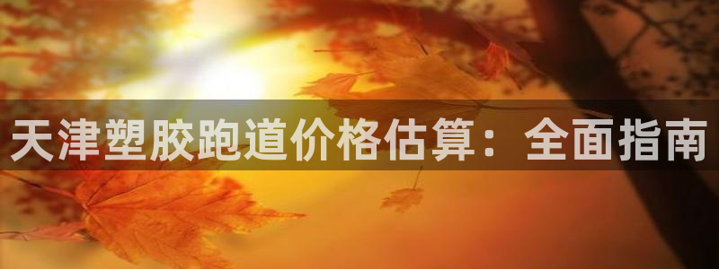 44814红足：天津塑胶跑道价格估算：全面指南