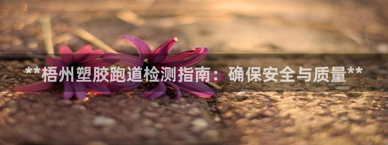 红足一1世皇冠：**梧州塑胶跑道检测指南：确保安全与质量**