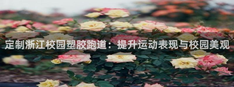 红足1一世开奖版：定制浙江校园塑胶跑道：提升运动表现与校园美观