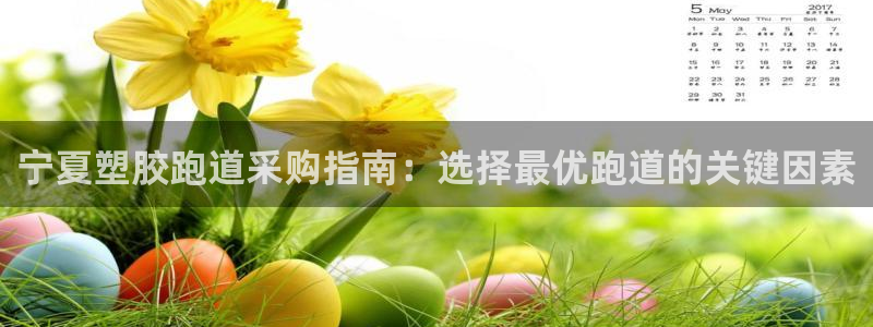 百度红足一1是什么样子的：宁夏塑胶跑道采购指南：选择最优跑道的关键因素