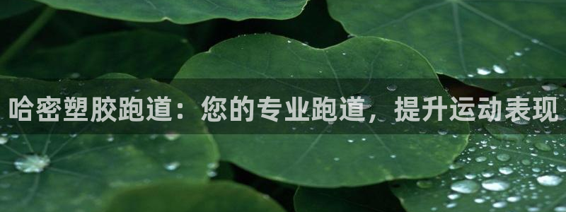 红足1一世足球手机：哈密塑胶跑道：您的专业跑道，提升运动表现