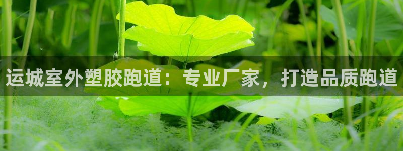 红足1世手机版下载：运城室外塑胶跑道：专业厂家，打造品质跑道