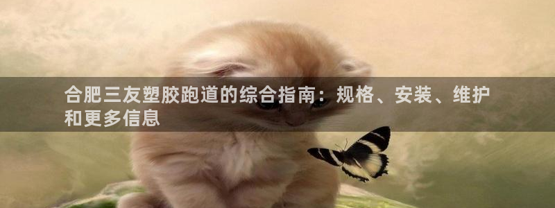 红足1一世 2站：合肥三友塑胶跑道的综合指南：规格、安装、维护
和更多信息