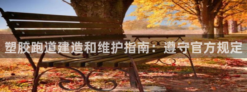 红足1世足球：塑胶跑道建造和维护指南：遵守官方规定