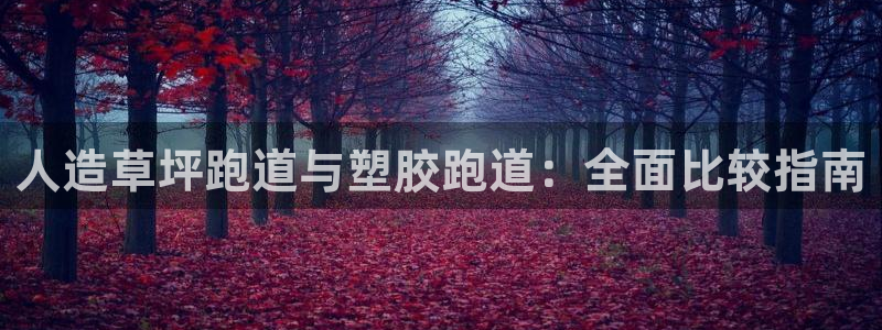 333814红·足一世比分：人造草坪跑道与塑胶跑道：全面比较指南