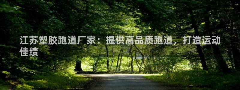 红足1一世红：江苏塑胶跑道厂家：提供高品质跑道，打造运动
佳绩