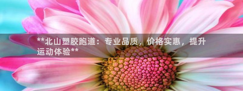 红足1世足球比分预测：**北山塑胶跑道：专业品质，价格实惠，提升
运动体验**
