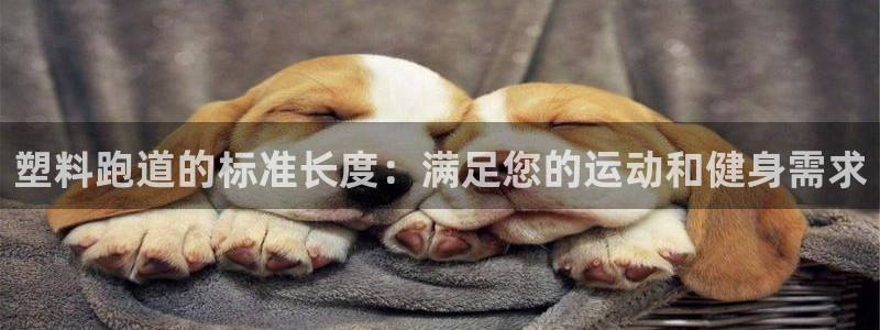 红足1一世：塑料跑道的标准长度：满足您的运动和健身需求