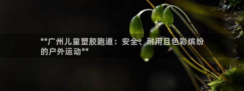红足1世1站：**广州儿童塑胶跑道：安全、耐用且色彩缤纷
的户外运动**