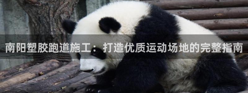 红足 世足球手机网：南阳塑胶跑道施工：打造优质运动场地的完整指南