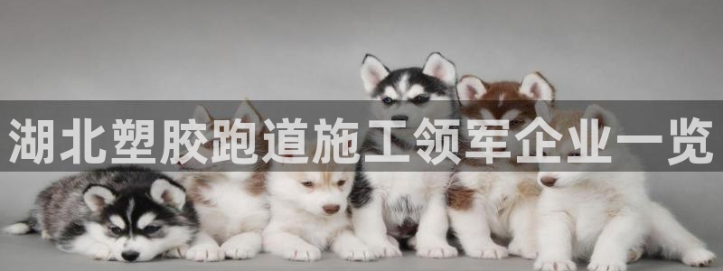 红足一1世66814新宝：湖北塑胶跑道施工领军企业一览