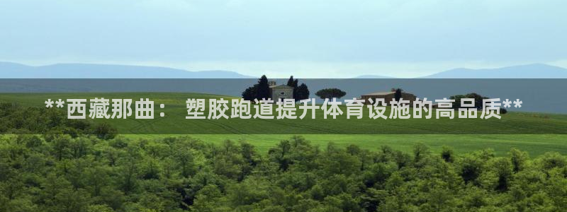 333814红·足一世比分：**西藏那曲： 塑胶跑道提升体育设施的高品质**