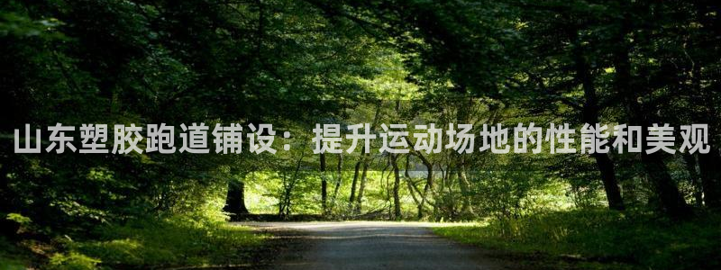 红足一1世：山东塑胶跑道铺设：提升运动场地的性能和美观