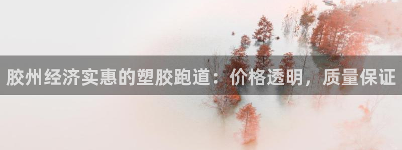 红足一1世官网足球推荐真人：胶州经济实惠的塑胶跑道：价格透明，质量保证
