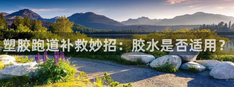 红足1世1站：塑胶跑道补救妙招：胶水是否适用？