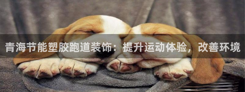 红足1世手机板：青海节能塑胶跑道装饰：提升运动体验，改善环境
