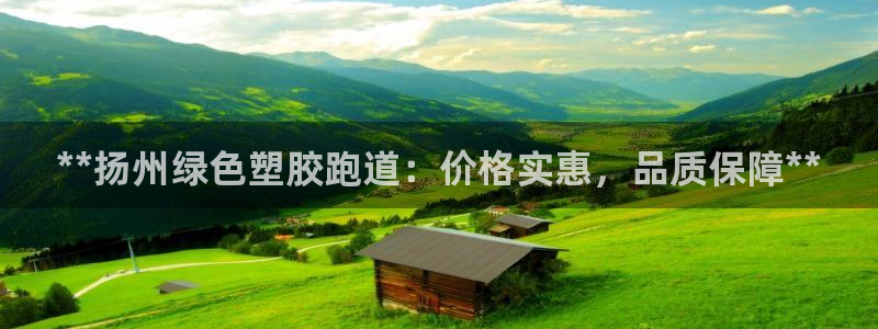 百度红足一1是为什么：**扬州绿色塑胶跑道：价格实惠，品质保障**