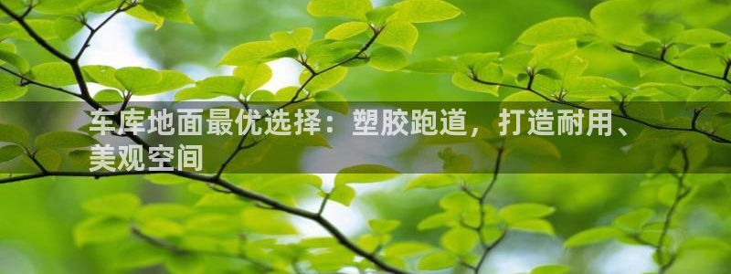 红足一1世比分球探：车库地面最优选择：塑胶跑道，打造耐用、
美观空间