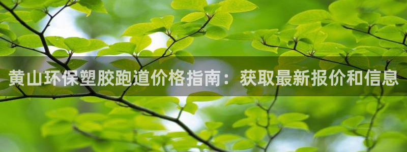 红足一：黄山环保塑胶跑道价格指南：获取最新报价和信息