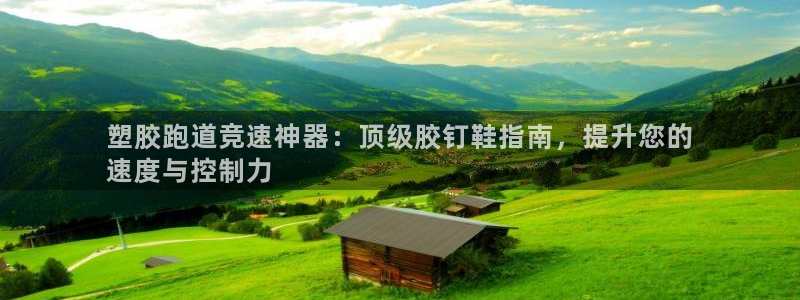 百度红足一1是干什么的：塑胶跑道竞速神器：顶级胶钉鞋指南，提升您的
速度与控制力