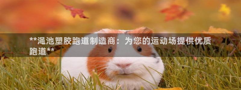 红足一1世即时比分