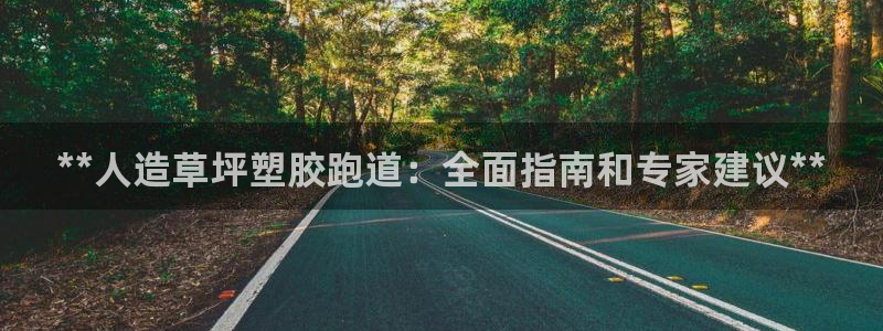 红足一：**人造草坪塑胶跑道：全面指南和专家建议**