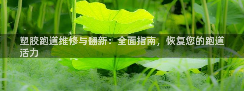 红足一1世手机版新皇冠：塑胶跑道维修与翻新：全面指南，恢复您的跑道
活力