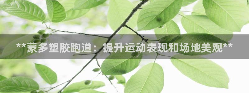 666814红·足一世比分：**蒙多塑胶跑道：提升运动表现和场地美观**