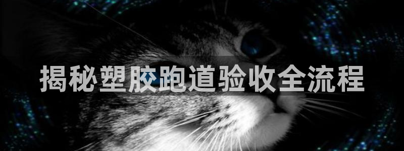 红足1世足球：揭秘塑胶跑道验收全流程