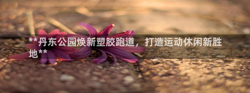333814红·足一世比分：**丹东公园焕新塑胶跑道，打造运动休闲新胜
地**