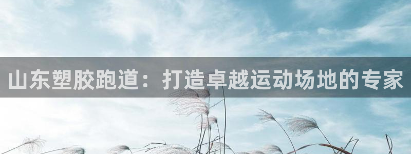 红足1世足球：山东塑胶跑道：打造卓越运动场地的专家