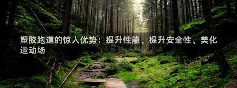 红足一：塑胶跑道的惊人优势：提升性能、提升安全性、美化
运动场