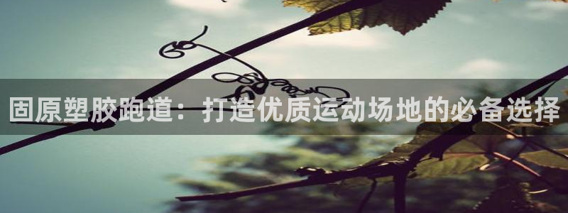 红足一1世官网：固原塑胶跑道：打造优质运动场地的必备选择