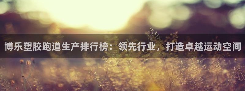 红足一：博乐塑胶跑道生产排行榜：领先行业，打造卓越运动空间