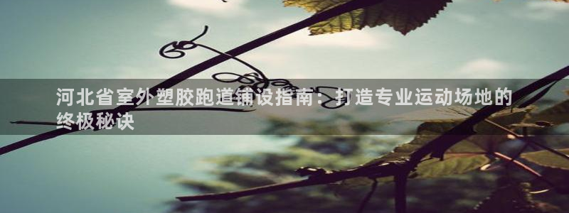 红足一1世77814：河北省室外塑胶跑道铺设指南：打造专业运动场地的
终极秘诀