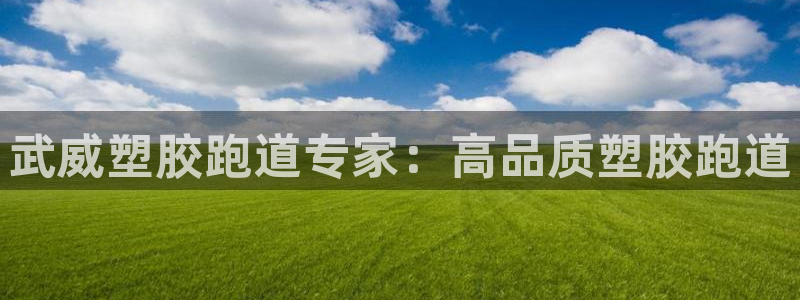 红足1世手足球比分：武威塑胶跑道专家：高品质塑胶跑道