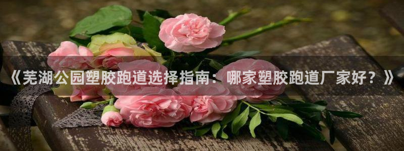 红足足球网：《芜湖公园塑胶跑道选择指南：哪家塑胶跑道厂家好？》
