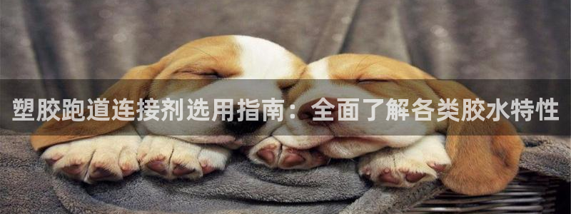 红足1世足球比分：塑胶跑道连接剂选用指南：全面了解各类胶水特性