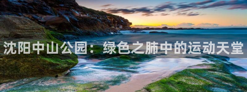 红足一1世即时比分：沈阳中山公园：绿色之肺中的运动天堂