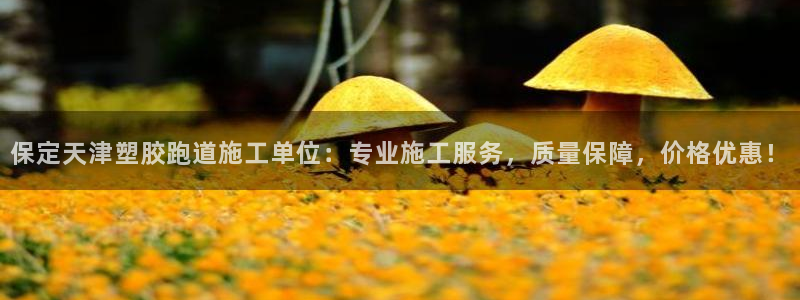 红姐现场直播开奖记录：保定天津塑胶跑道施工单位：专业施工服务，质量保障，价格优惠！
