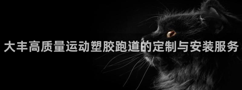 红足一球：大丰高质量运动塑胶跑道的定制与安装服务