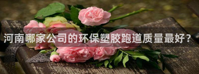 百度红足一1世：河南哪家公司的环保塑胶跑道质量最好？