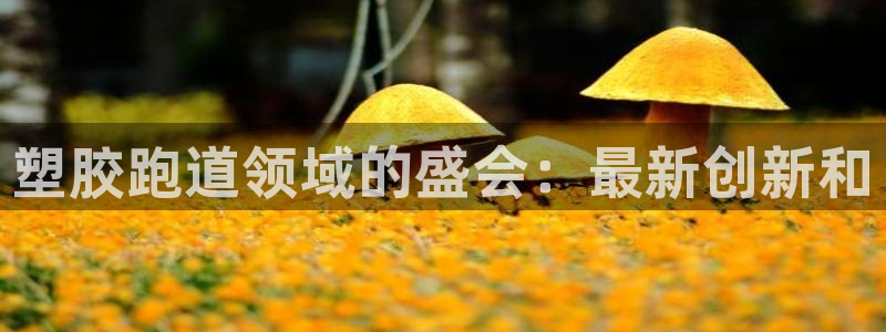 4633333开奖结果4176一点红：塑胶跑道领域的盛会：最新创新和