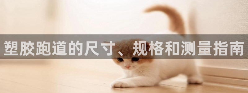 红足一1世：塑胶跑道的尺寸、规格和测量指南
