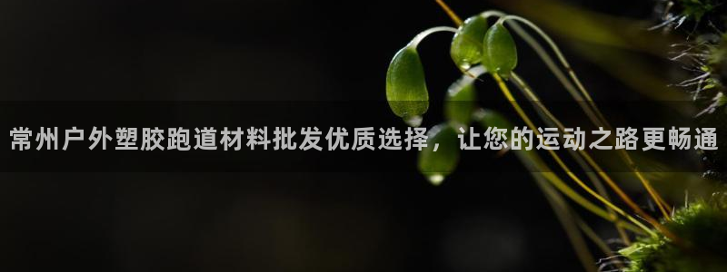 333814红足1世：常州户外塑胶跑道材料批发优质选择，让您的运动之路更畅通