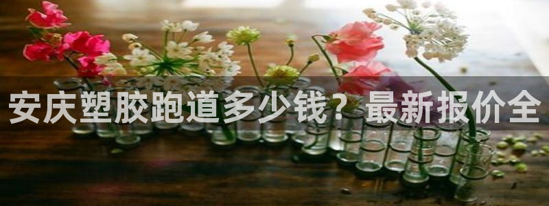 百度红足一1是为什么：安庆塑胶跑道多少钱？最新报价全