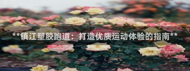 红足一1世手机开奖：**镇江塑胶跑道：打造优质运动体验的指南**