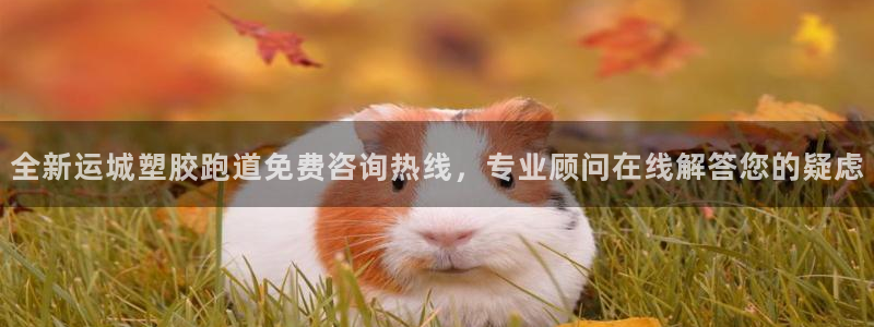 红足1世1站：全新运城塑胶跑道免费咨询热线，专业顾问在线解答您的疑虑